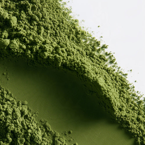 Poudre de matcha Tsuyuhikari vert vif, moulue à la pierre, sur fond clair